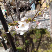 ヒメ日記 2025/04/06 10:00 投稿 あき 奥鉄オクテツ神奈川店（デリヘル市場グループ）