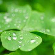 ヒメ日記 2025/05/02 15:40 投稿 あき 奥鉄オクテツ神奈川店（デリヘル市場グループ）