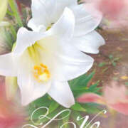 ヒメ日記 2025/07/10 06:03 投稿 あき 奥鉄オクテツ神奈川店（デリヘル市場グループ）