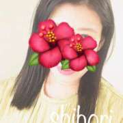 ヒメ日記 2025/02/03 14:30 投稿 しほり 奥鉄オクテツ神奈川店（デリヘル市場グループ）