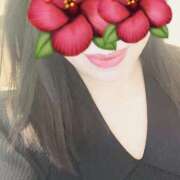 ヒメ日記 2025/02/06 15:07 投稿 しほり 奥鉄オクテツ神奈川店（デリヘル市場グループ）