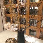 ヒメ日記 2025/04/14 09:56 投稿 しほり 奥鉄オクテツ神奈川店（デリヘル市場グループ）