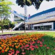 ヒメ日記 2025/04/21 16:55 投稿 しほり 奥鉄オクテツ神奈川店（デリヘル市場グループ）