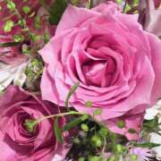 ヒメ日記 2025/04/30 21:06 投稿 しほり 奥鉄オクテツ神奈川店（デリヘル市場グループ）