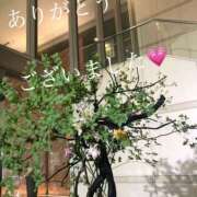 ヒメ日記 2025/09/15 17:19 投稿 しほり 奥鉄オクテツ神奈川店（デリヘル市場グループ）