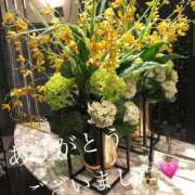 ヒメ日記 2025/10/28 17:15 投稿 しほり 奥鉄オクテツ神奈川店（デリヘル市場グループ）