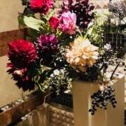 ヒメ日記 2026/02/01 02:08 投稿 しほり 奥鉄オクテツ神奈川店（デリヘル市場グループ）