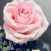 ヒメ日記 2026/02/03 10:40 投稿 しほり 奥鉄オクテツ神奈川店（デリヘル市場グループ）