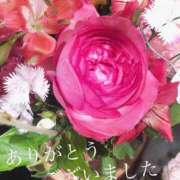 ヒメ日記 2026/02/08 22:32 投稿 しほり 奥鉄オクテツ神奈川店（デリヘル市場グループ）