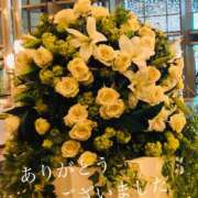 ヒメ日記 2026/02/11 01:34 投稿 しほり 奥鉄オクテツ神奈川店（デリヘル市場グループ）