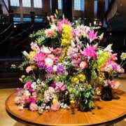 ヒメ日記 2026/02/24 22:47 投稿 しほり 奥鉄オクテツ神奈川店（デリヘル市場グループ）