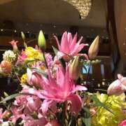 ヒメ日記 2026/03/20 01:58 投稿 しほり 奥鉄オクテツ神奈川店（デリヘル市場グループ）