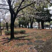 ヒメ日記 2026/04/02 15:42 投稿 しほり 奥鉄オクテツ神奈川店（デリヘル市場グループ）
