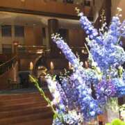 ヒメ日記 2026/07/24 22:16 投稿 しほり 奥鉄オクテツ神奈川店（デリヘル市場グループ）