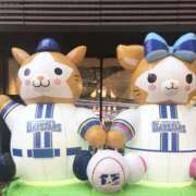 ヒメ日記 2026/08/30 22:45 投稿 しほり 奥鉄オクテツ神奈川店（デリヘル市場グループ）