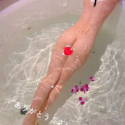 ヒメ日記 2025/09/30 23:50 投稿 あやの 奥鉄オクテツ神奈川店（デリヘル市場グループ）