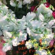 ヒメ日記 2025/02/10 11:23 投稿 らんか 奥鉄オクテツ神奈川店（デリヘル市場グループ）