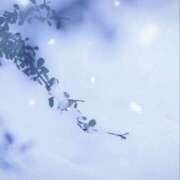 ヒメ日記 2025/02/10 23:40 投稿 らんか 奥鉄オクテツ神奈川店（デリヘル市場グループ）