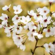 ヒメ日記 2025/03/07 16:35 投稿 らんか 奥鉄オクテツ神奈川店（デリヘル市場グループ）