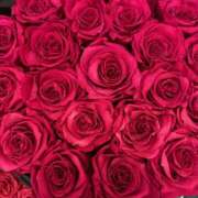 ヒメ日記 2025/05/05 18:29 投稿 らんか 奥鉄オクテツ神奈川店（デリヘル市場グループ）