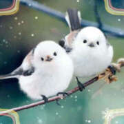 ヒメ日記 2026/02/07 12:07 投稿 らんか 奥鉄オクテツ神奈川店（デリヘル市場グループ）