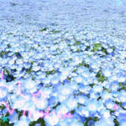 らんか 暖かい陽気 奥鉄オクテツ神奈川店（デリヘル市場グループ）