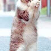 ヒメ日記 2025/02/04 11:45 投稿 ききょう 奥鉄オクテツ神奈川店（デリヘル市場グループ）