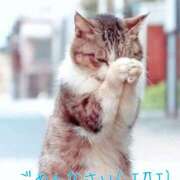 ヒメ日記 2025/05/21 16:02 投稿 ききょう 奥鉄オクテツ神奈川店（デリヘル市場グループ）