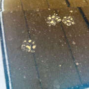 ヒメ日記 2025/06/01 13:00 投稿 はづき 奥鉄オクテツ神奈川店（デリヘル市場グループ）