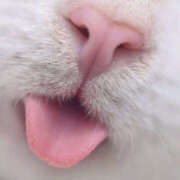 ヒメ日記 2025/06/04 10:57 投稿 はづき 奥鉄オクテツ神奈川店（デリヘル市場グループ）