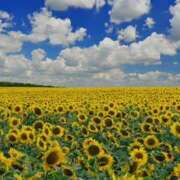 ヒメ日記 2025/08/21 11:30 投稿 はづき 奥鉄オクテツ神奈川店（デリヘル市場グループ）