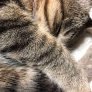 ヒメ日記 2025/09/24 10:43 投稿 はづき 奥鉄オクテツ神奈川店（デリヘル市場グループ）