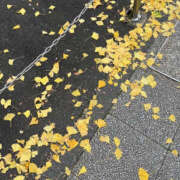 ヒメ日記 2025/12/11 10:30 投稿 はづき 奥鉄オクテツ神奈川店（デリヘル市場グループ）