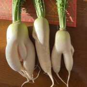 ヒメ日記 2026/01/15 19:47 投稿 はづき 奥鉄オクテツ神奈川店（デリヘル市場グループ）