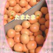 ヒメ日記 2025/02/04 12:08 投稿 あまね 奥鉄オクテツ神奈川店（デリヘル市場グループ）