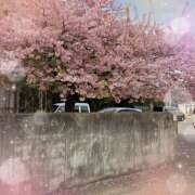 ヒメ日記 2025/03/20 18:39 投稿 あまね 奥鉄オクテツ神奈川店（デリヘル市場グループ）