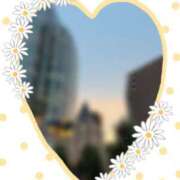 ヒメ日記 2025/07/05 23:56 投稿 あまね 奥鉄オクテツ神奈川店（デリヘル市場グループ）