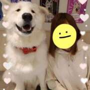 ヒメ日記 2025/10/14 13:11 投稿 すず ソープランド AQUA（アクア）