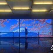 ヒメ日記 2025/06/07 00:49 投稿 みか 性腺熟女100％（デリヘル市場）