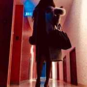 ヒメ日記 2026/01/17 00:30 投稿 みか 性腺熟女100％本店（デリヘル市場）