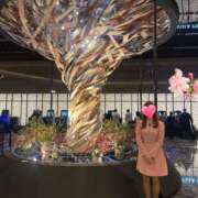 ヒメ日記 2026/03/01 23:22 投稿 みか 性腺熟女100％本店（デリヘル市場）