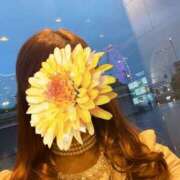 ヒメ日記 2026/03/20 23:50 投稿 みか 性腺熟女100％本店（デリヘル市場）