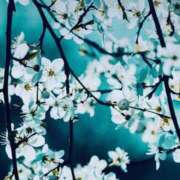 ヒメ日記 2025/02/05 23:12 投稿 ゆか 性腺熟女100％（デリヘル市場）