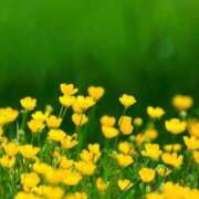 ヒメ日記 2025/02/06 00:38 投稿 ゆか 性腺熟女100％（デリヘル市場）