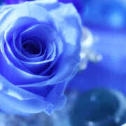 ヒメ日記 2024/12/21 12:36 投稿 あつこ 性腺熟女100％（デリヘル市場）