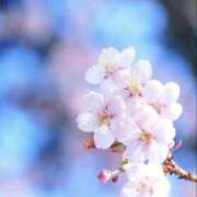 ヒメ日記 2025/03/13 16:48 投稿 あつこ 性腺熟女100％（デリヘル市場）