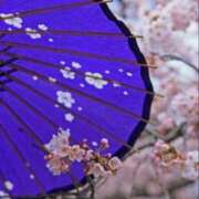 ヒメ日記 2025/03/13 18:38 投稿 あつこ 性腺熟女100％（デリヘル市場）