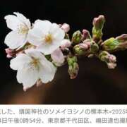 ヒメ日記 2025/03/27 10:55 投稿 あつこ 性腺熟女100％（デリヘル市場）