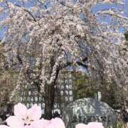 ヒメ日記 2025/03/30 22:08 投稿 あつこ 性腺熟女100％（デリヘル市場）