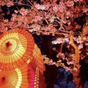 ヒメ日記 2025/04/11 22:31 投稿 あつこ 性腺熟女100％（デリヘル市場）